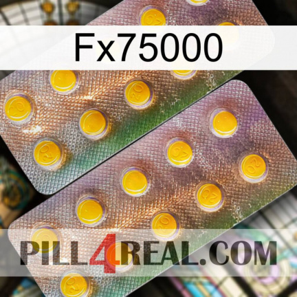 Fx75000 new10